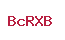 BcRXB