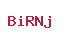BiRNj