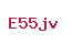 E55jv