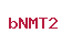 bNMT2