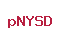 pNYSD