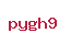 pygh9